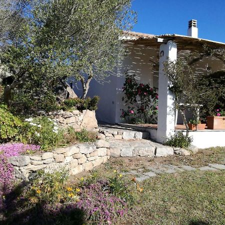 Hotel Agriturismo La Valletta Santa Teresa Gallura Exteriér fotografie