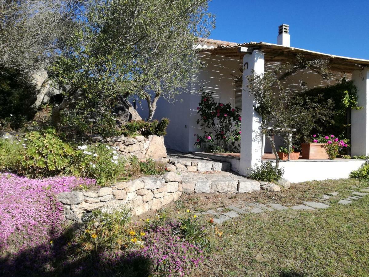 Hotel Agriturismo La Valletta Santa Teresa Gallura Exteriér fotografie