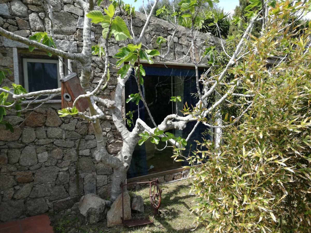 Hotel Agriturismo La Valletta Santa Teresa Gallura Exteriér fotografie